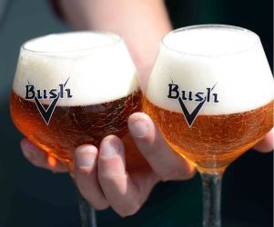 Bia Bush Chất Lượng Của Bia Bỉ - Tại Sao Không Thử